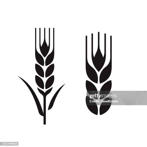 wheat ears set - rye - grain stock illustrations