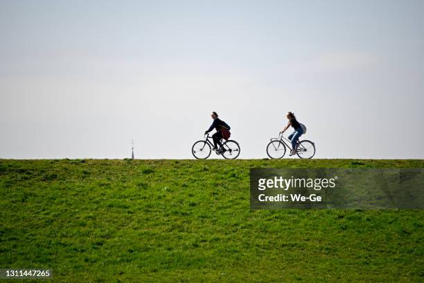 silhouette des cyclistes sur la digue du rhin à duesseldorf - polder barrage photos et images de collection
