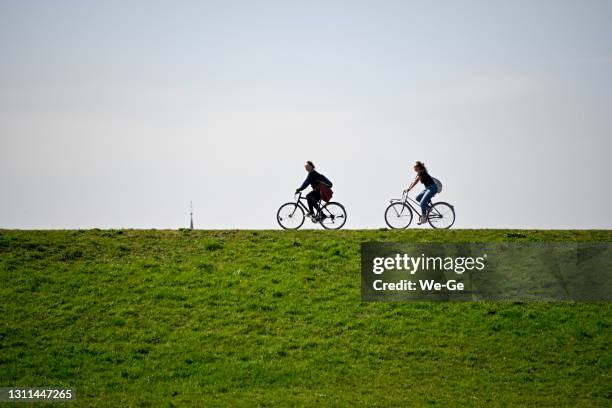 silhouette of cyclists on the rhine dike in duesseldorf - dique barragem imagens e fotografias de stock