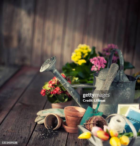 garten werkzeuge holz hintergrund - garten tragekorb stock-fotos und bilder