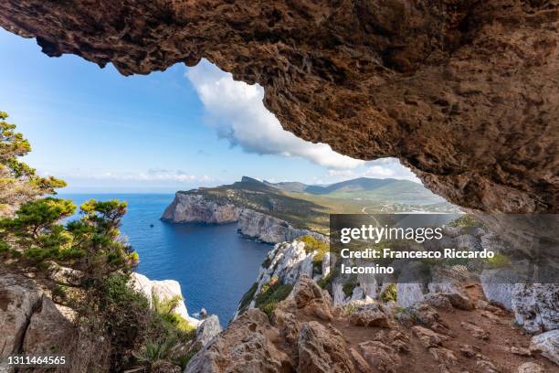 capo caccia, blue sea and sky in summertime. alghero, sassari district, sardinia, italy - sardegna foto e immagini stock