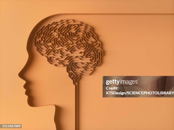 human brain, conceptual illustration - maze stock illustrations