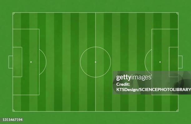 ilustrações de stock, clip art, desenhos animados e ícones de football field, illustration - campo de futebol