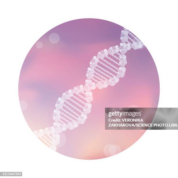 dna double helix, illustration - nucleotide stock illustrations