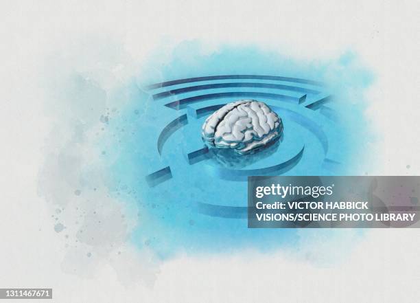 human brain in maze, illustration - brain maze stock illustrations