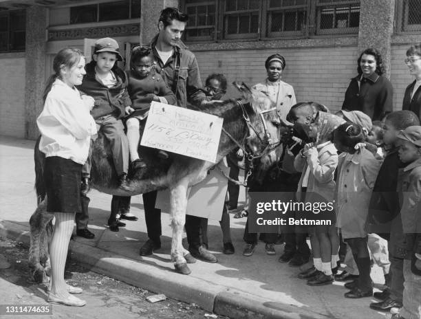 Harlem schoolchildren Pedro Villerini and Michele Tyson sit on the back of Randy the donkey flanked by American actress Trish Van Devere and animal...