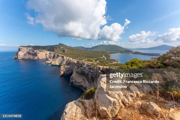 capo caccia, blue sea and sky in summertime. alghero, sassari district, sardinia, italy - alghero stock pictures, royalty-free photos & images