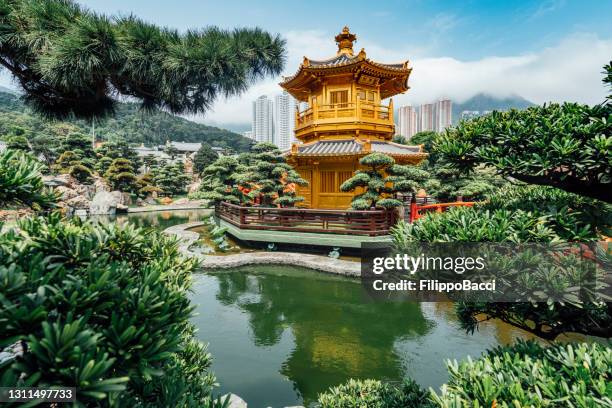 nan lian garden a hong kong - pagoda foto e immagini stock