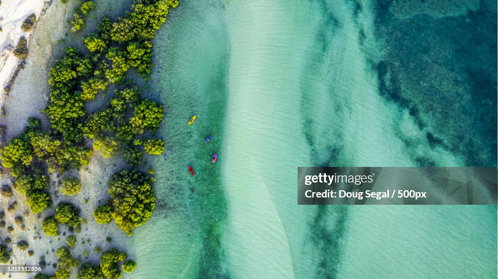 Aerial view of people kayaking in sea