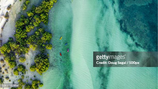 aerial view of people kayaking in sea - abu dhabi stock pictures, royalty-free photos & images