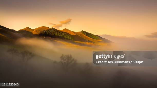 scenic view of mountains against sky during sunset,mount erin lookout,new zealand - new zealand yellow stock-fotos und bilder