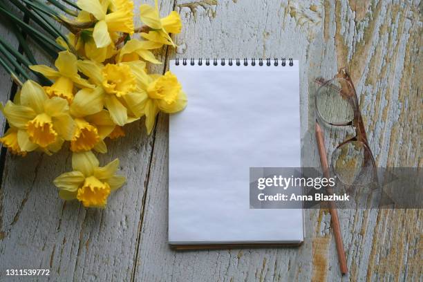 bunch of spring yellow daffodil flowers, note pad and eyeglasses over gray rustic background. greeting card for spring holidays, mother's day. - pencil skirt beautiful bildbanksfoton och bilder