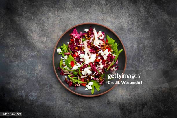 studio shot of plate of vegetarian salad with lentils, arugula, feta cheese, radicchio and bell pepper - radicchio stockfoto's en -beelden