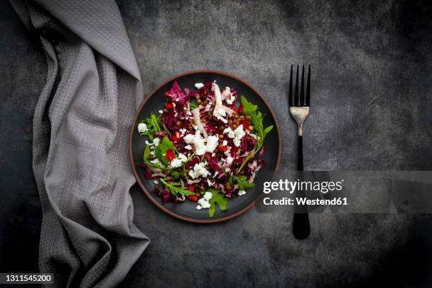 studio shot of plate of vegetarian salad with lentils, arugula, feta cheese, radicchio and bell pepper - radicchio stockfoto's en -beelden