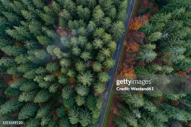 drone view of highway cutting through green woodland of black forest - black forest germany stock pictures, royalty-free photos & images