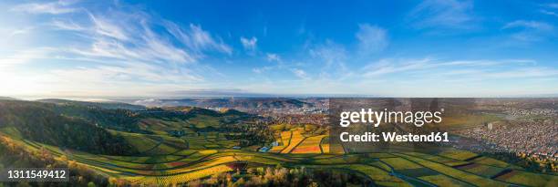 germany, baden wurttemberg, stuttgart, aerial view of vineyards in autumn - stuttgart panorama stock pictures, royalty-free photos & images