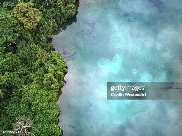 gabon, aerial view of turquoise colored lac bleu lake - turquoise bleu stockfoto's en -beelden