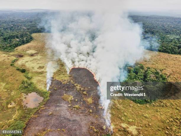 gabon, aerial view of controlled forest fire - controlled fire stock pictures, royalty-free photos & images