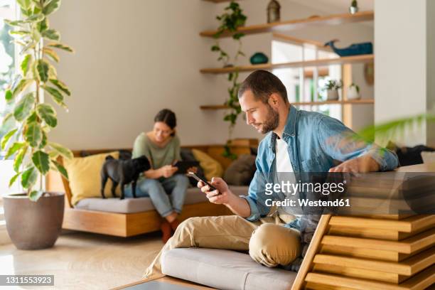 man using smart phone while girlfriend playing with pug dog in background at home - one animal stock pictures, royalty-free photos & images