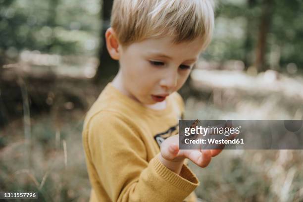 surprised boy looking at butterfly on palm of hand - butterfly hand imagens e fotografias de stock