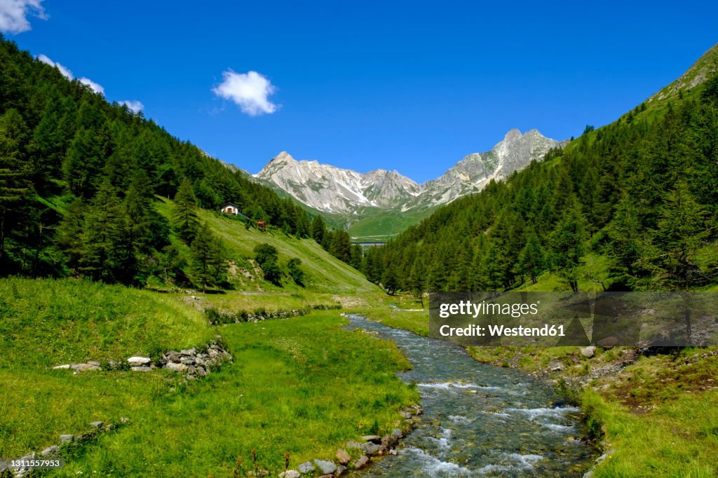 Italy Aosta Valley Saintrhemyenbosses Stream In Valle Del Gran San italy-aosta-valley-saintrhemyenbosses-stream-in-valle-del-gran-san