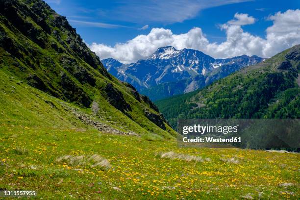 26 Saint Rhemy En Bosses Stock Photos High Res Pictures And Images 26-saint-rhemy-en-bosses-stock-photos-high-res-pictures-and-images
