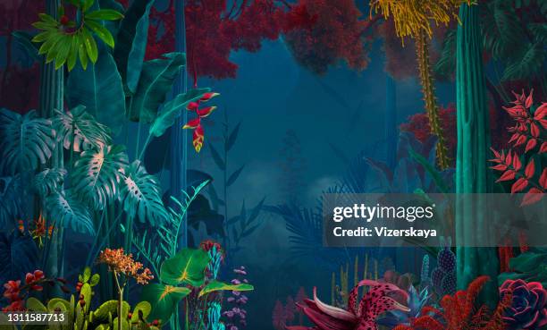 fairy and surreal night jungle/ garden - surreal forest stock pictures, royalty-free photos & images