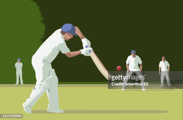 cricket players - cricket player vector stock illustrations