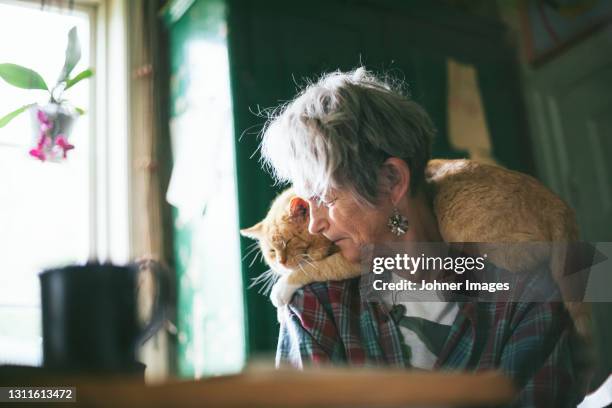 senior woman with car on shoulders - movie awards show stock pictures, royalty-free photos & images