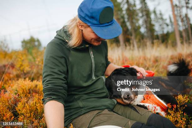 smiling man stroking dog - johner images bildbanksfoton och bilder