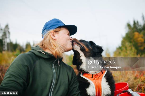 man kissing dog - johner images bildbanksfoton och bilder