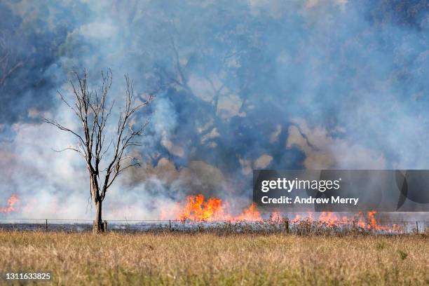 forest fire in field, bushfire flames smoke, farm, dead tree - fire prevention stock pictures, royalty-free photos & images