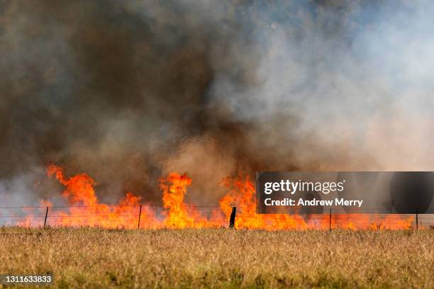 forest fire flames, smoke clouds, grass fire in field, farm, closeup - australia fire ストックフォトと画像