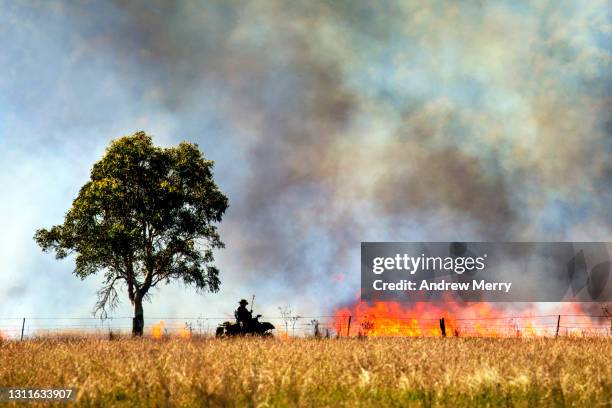 farmer doing controlled burn, bushfire flames, smoke clouds, tree, australia - dubbo australia - fotografias e filmes do acervo