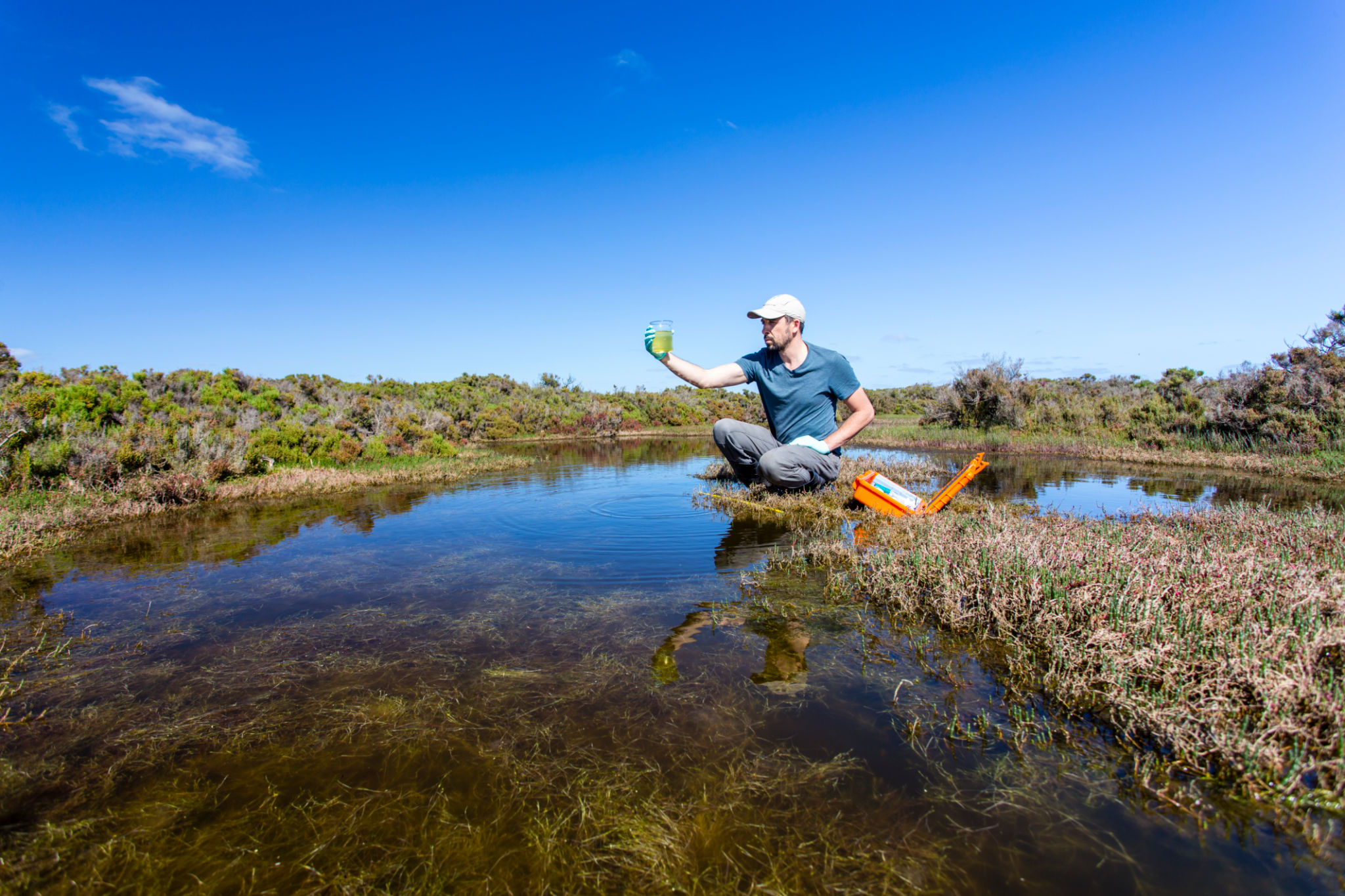 environmental monitoring