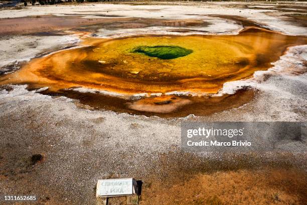 yellowstone national park. wyoming. usa - amber brooks stock pictures, royalty-free photos & images