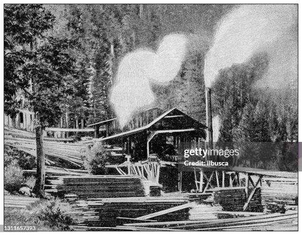 antique black and white photograph: klondike gold rush, sawmill in dawson - klondike gold rush national historic park stock illustrations