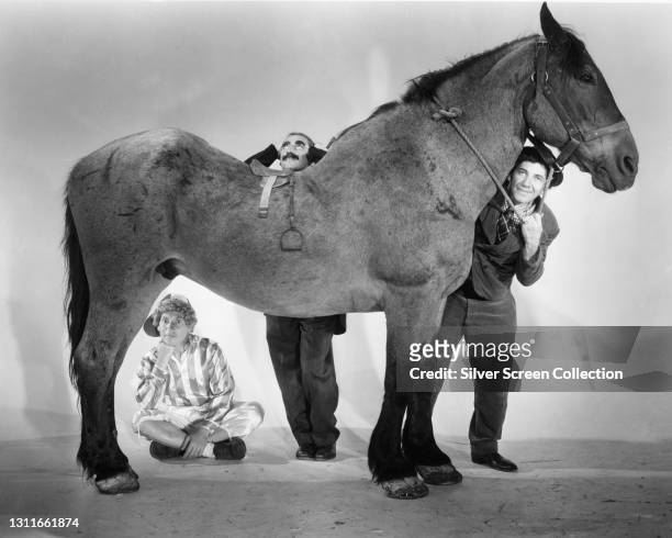 Chico Marx , Harpo Marx and Groucho Marx with a horse in the film 'A Day at the Races', directed by Sam Wood and produced by MGM, 1937.