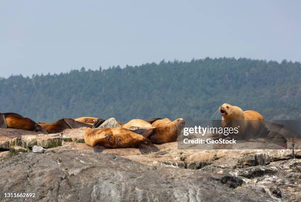 Define Rabble Rouser 48 Rabble Rouser Stock Photos, High-Res Pictures, and Images - Getty Images
