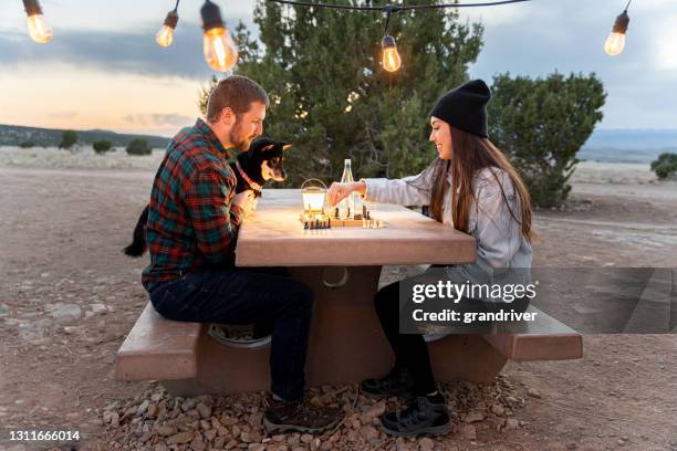 年輕夫婦與狗在野餐桌上下棋， 一起在戶外玩樂 - shiba inu lights 個照片及圖片檔