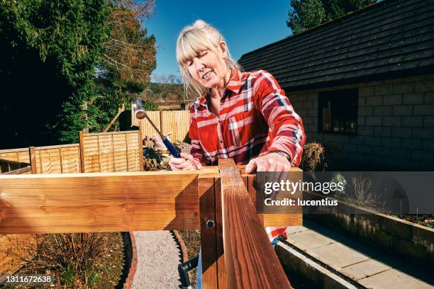 construcción gazebo - pergola fotografías e imágenes de stock