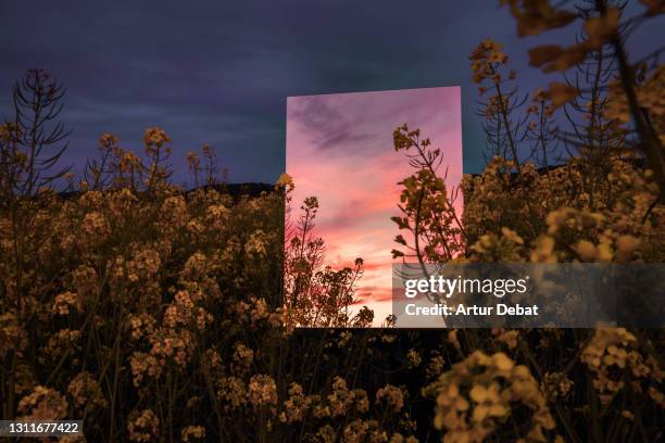 creative picture of square mirror reflecting dramatic sunset landscape in the nature. - mirror fotografías e imágenes de stock