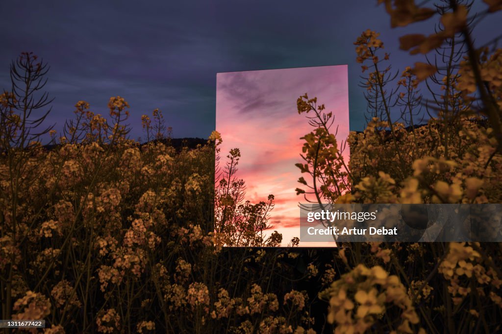 Creative picture of square mirror reflecting dramatic sunset landscape in the nature.