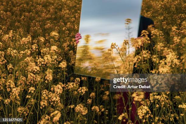 3,485 Rectangle Nature Stock Photos, High-Res Pictures, and Images ...
