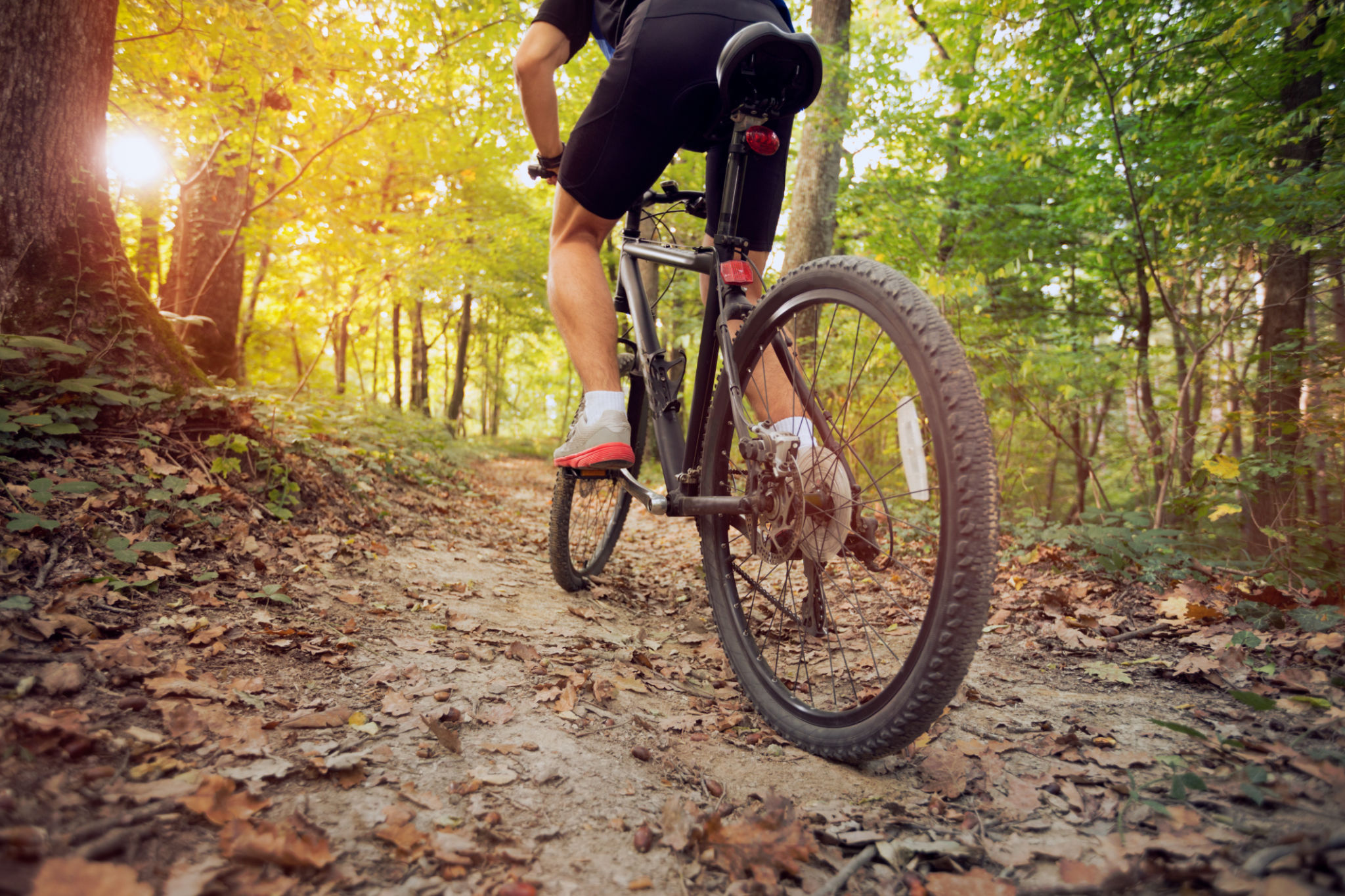 bike trails