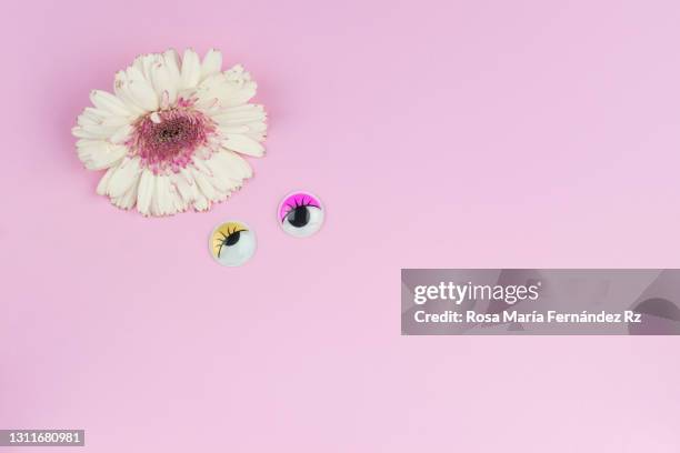 mother`s day concept, gebera daisy and cartoon eyes on pink background. - s dear mama event stock pictures, royalty-free photos & images