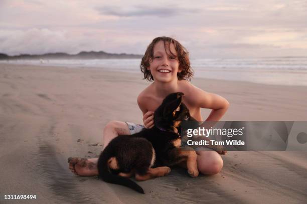 caucasian boy sitting on a beach with his puppy in his lap. - german shepherd sitting stock pictures, royalty-free photos & images