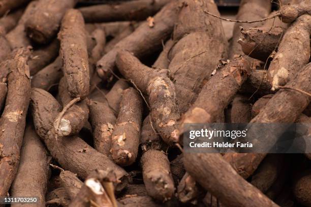 cassava (manioc) full frame - tapioca stock pictures, royalty-free photos & images