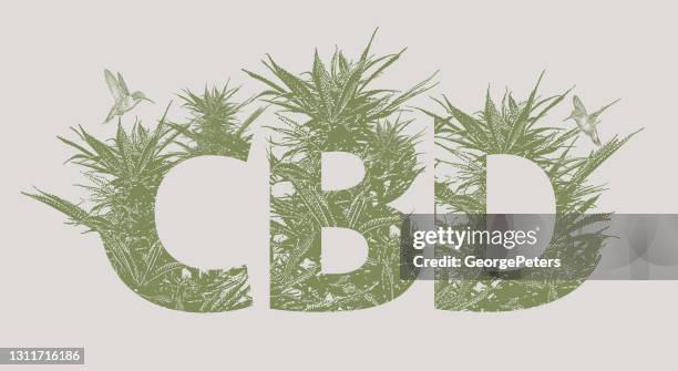 cbd oil with cannabis leaves - cannabis medicinal stock illustrations