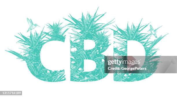 stockillustraties, clipart, cartoons en iconen met cbd olie met cannabis bladeren - marijuana leaf text symbol